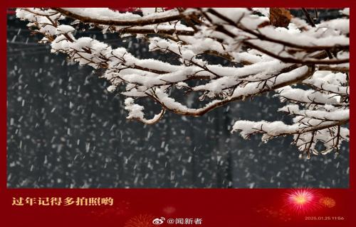 我追逐着梦想的脚步不畏艰难勇往直前那时的我仿佛拥有了整个世界心中充满了对未来的憧憬和期待